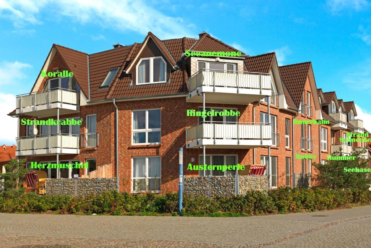 Haus Suedwester Koralle อินเซิลเพิล ภายนอก รูปภาพ